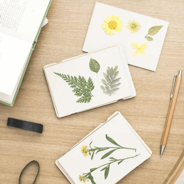 Studio Wald Pocket Flower Press - Forget Me Knot