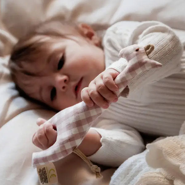 Senger Organic Cotton Giraffe Gingham Pink