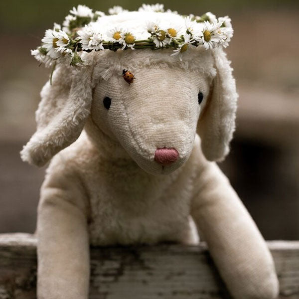 Senger Organic Sheep Small
