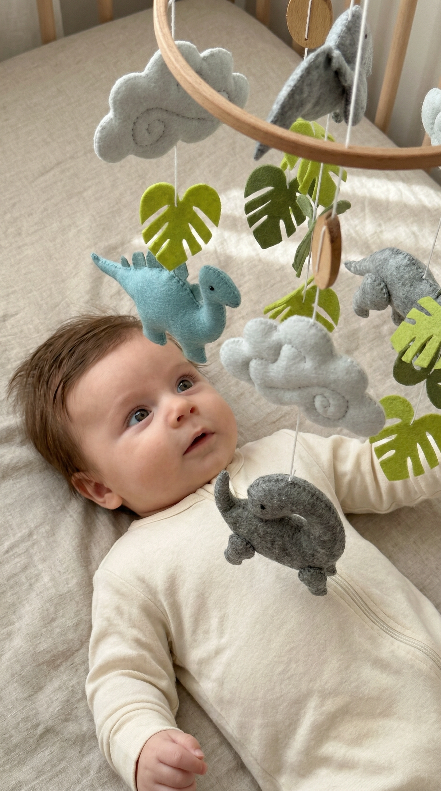 Little Dino Land Cot Mobile