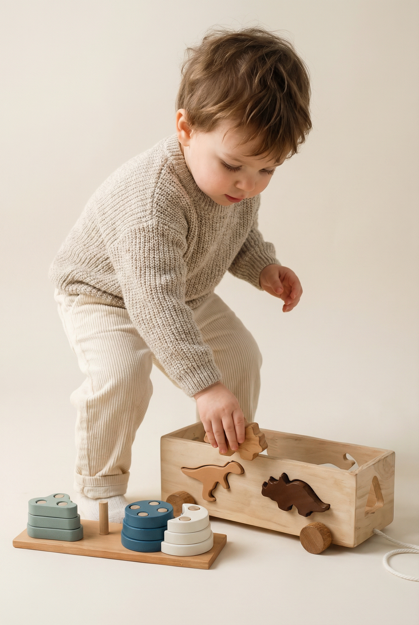 Wooden Dinosaur Sorting Box Pull Toy