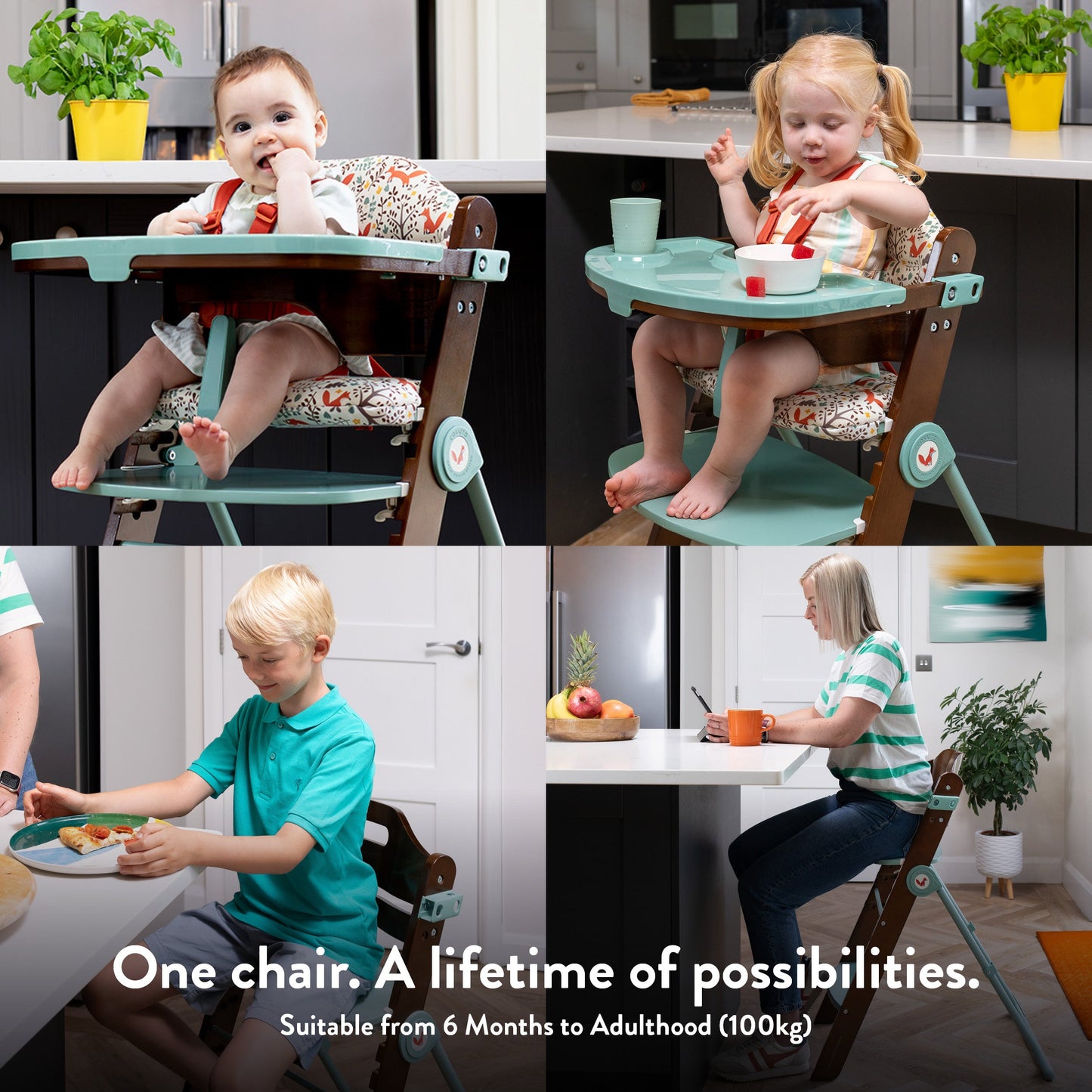 Waffle 2 Highchair Old MacDonald