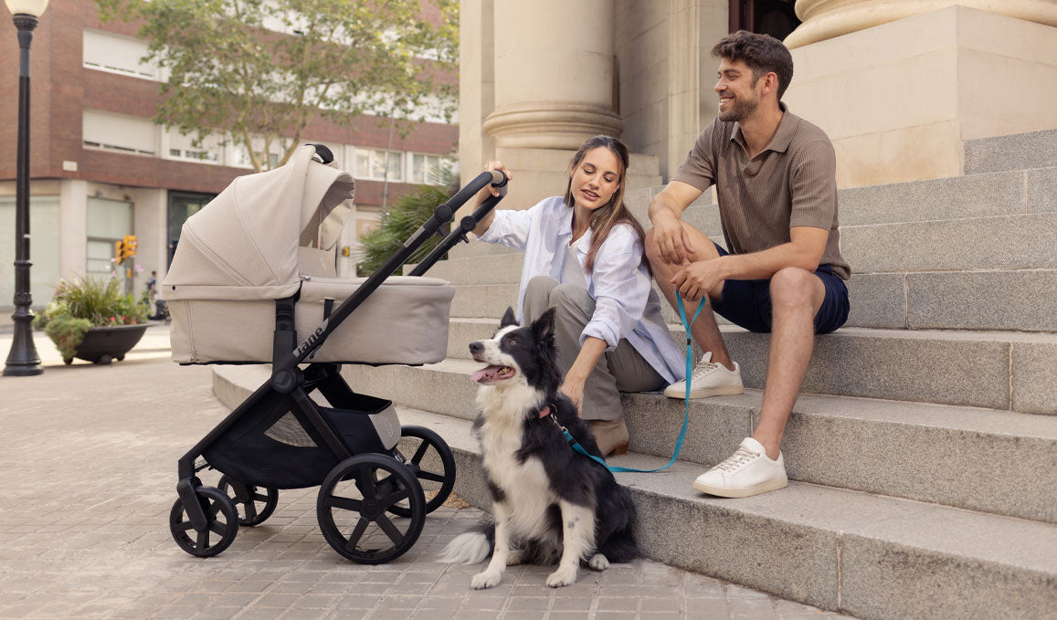 Jane Muum-4 + Trio Koos Travel System